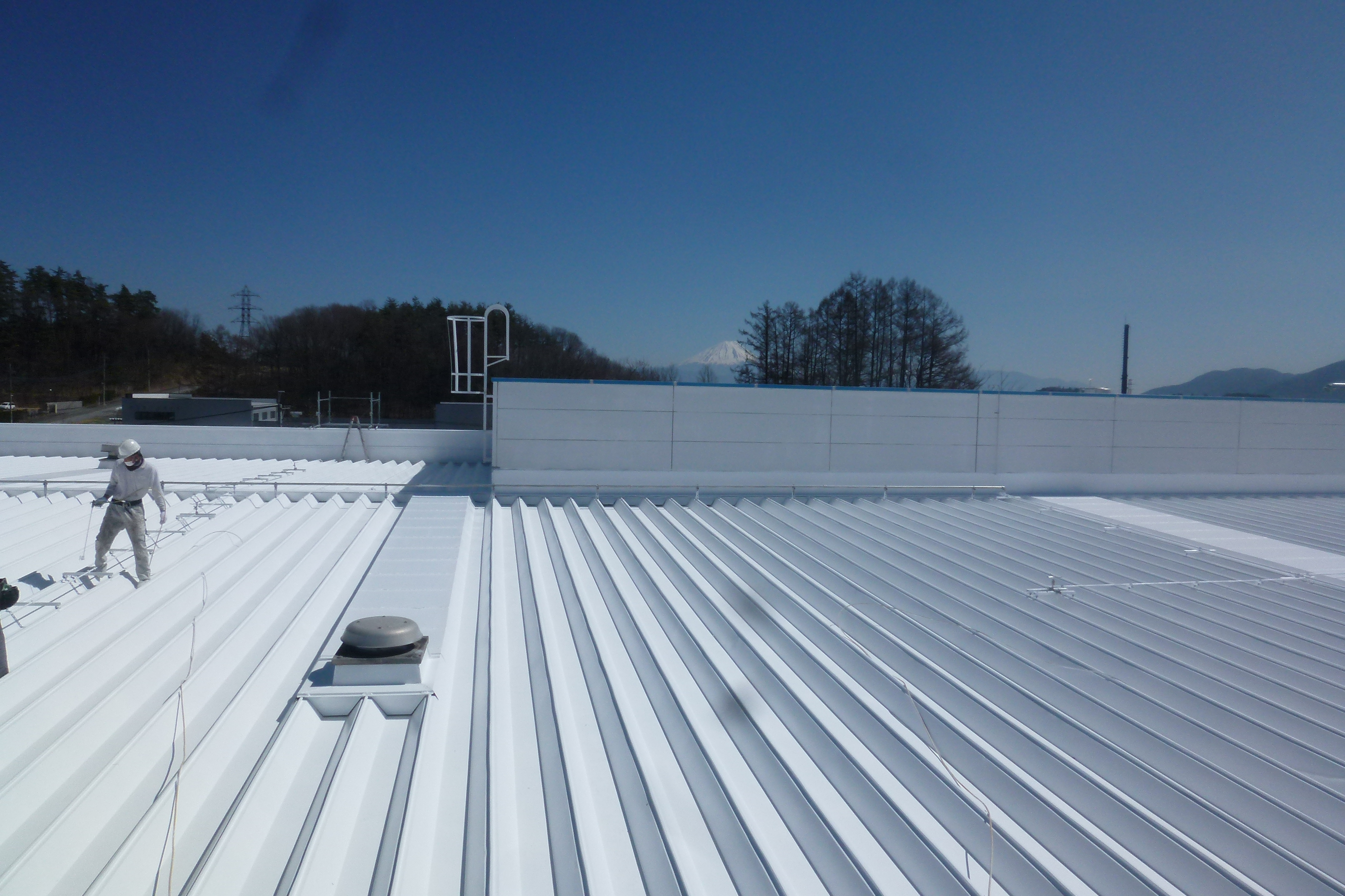 屋根で作業するスタッフ